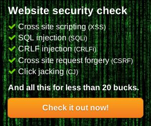 Website security check
