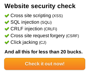 Website security check
